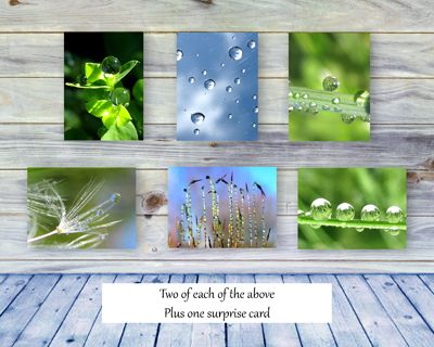 Poetry of Nature Greeting Card Collection - Meditation