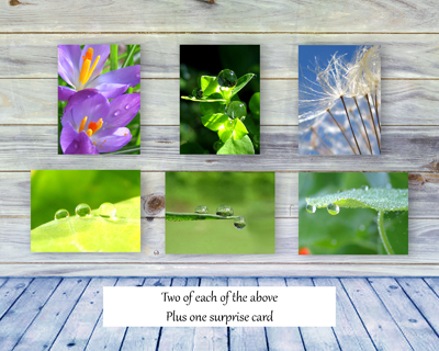 Poetry of Nature Greeting Card Collection - The Poetry of Nature II