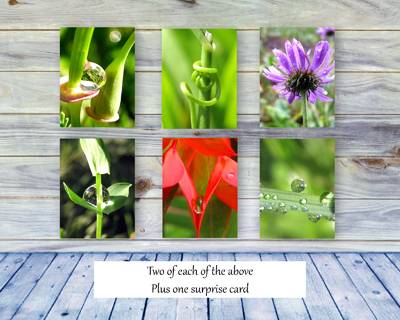 Poetry of Nature Greeting Card Collection - The Poetry of Nature I