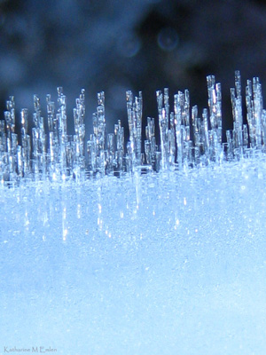 Crystals of ice greet the day in this imaginative, intriguing, Nature Spirit Story. Photo with Poem - Ice People by The Poetry of Nature