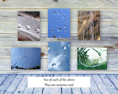 Poetry of Nature Greeting Card Collection - Spider Webs II