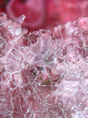Crystals of Ice make a beautiful display in this gentle, geometric nature mosaic-Rose Ice by The Poetry of Nature