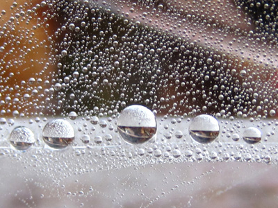 Drops of dew perfectly placed reflect a Yin Yang balance in this mesmerizing, beautiful, nature print with poem - Balance-by The Poetry of Nature