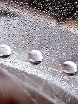 Dew Drops dance along the Milky Way in this stunning, mesmerizing, macro photograph. Print with poem Galaxy - by The Poetry of Nature