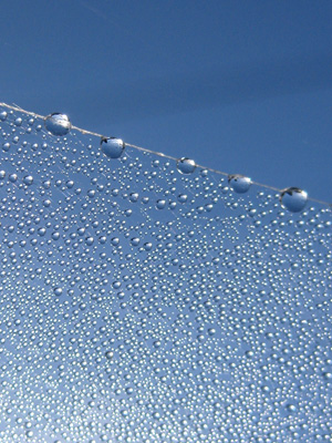 A snow covered mountain sparkles under a deep blue sky, or so it seems, in this stunning, beautiful spider web macro. Print with poem: Ski Slope by The Poetry of Nature